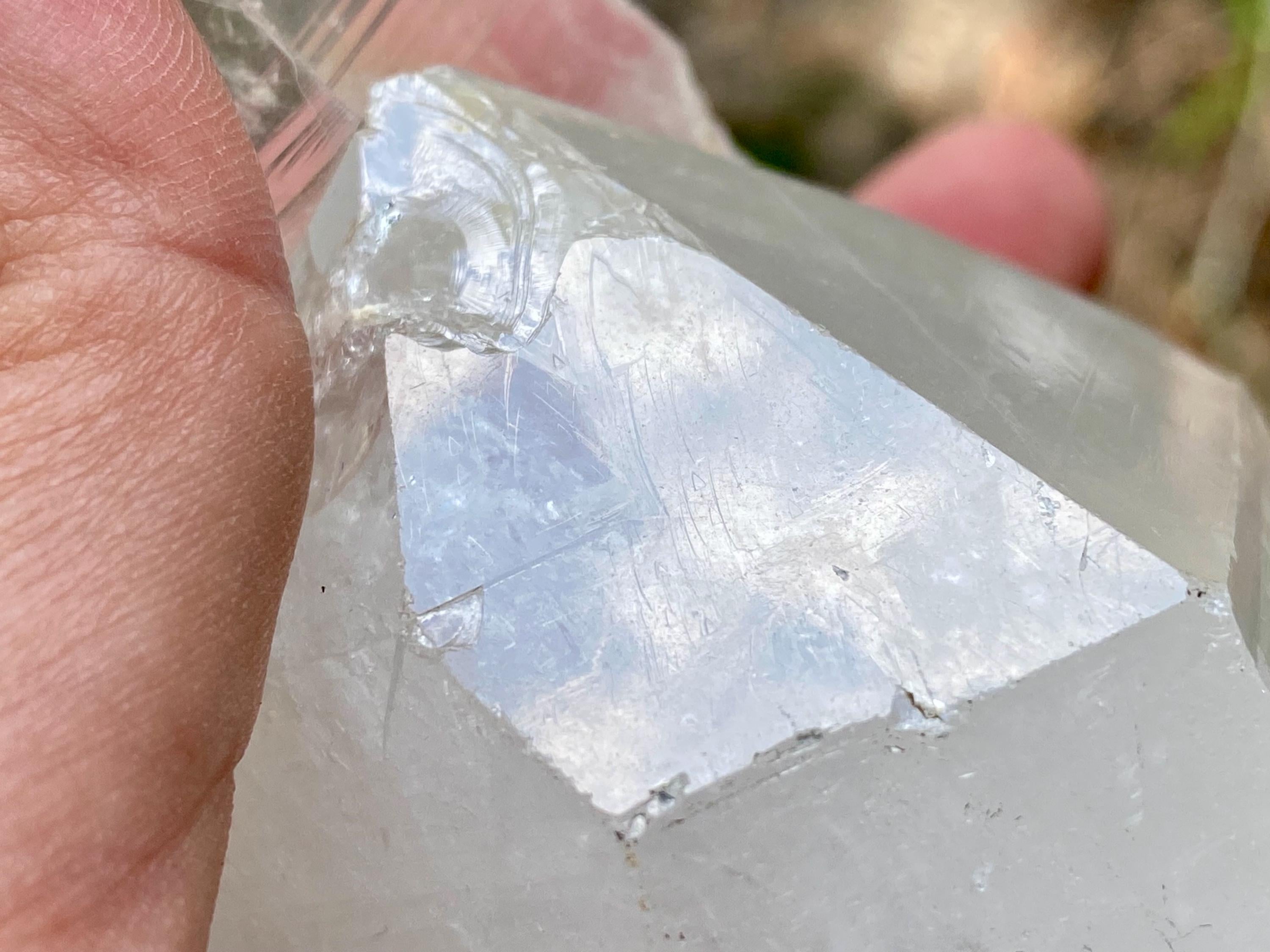 Large Diamantina Quartz Crystal with Record Keepers