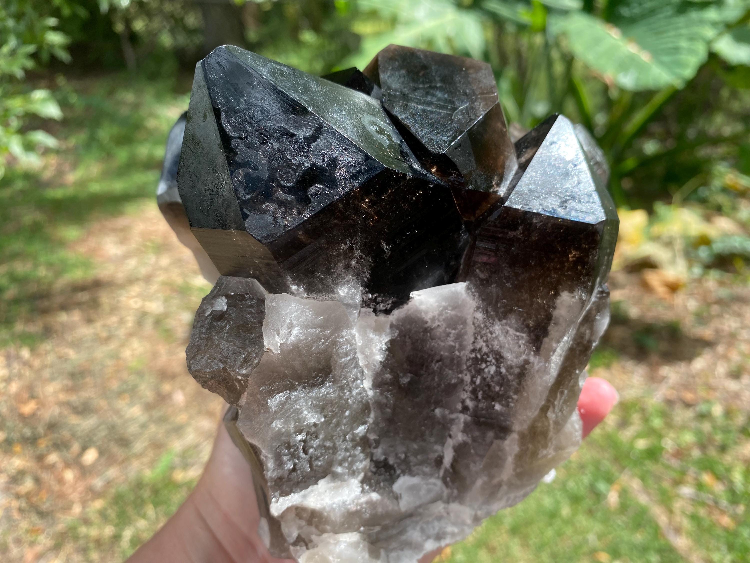 Extra Large Smoky Quartz Cluster. Beautiful Brazilian Smoky Quartz Crystal.