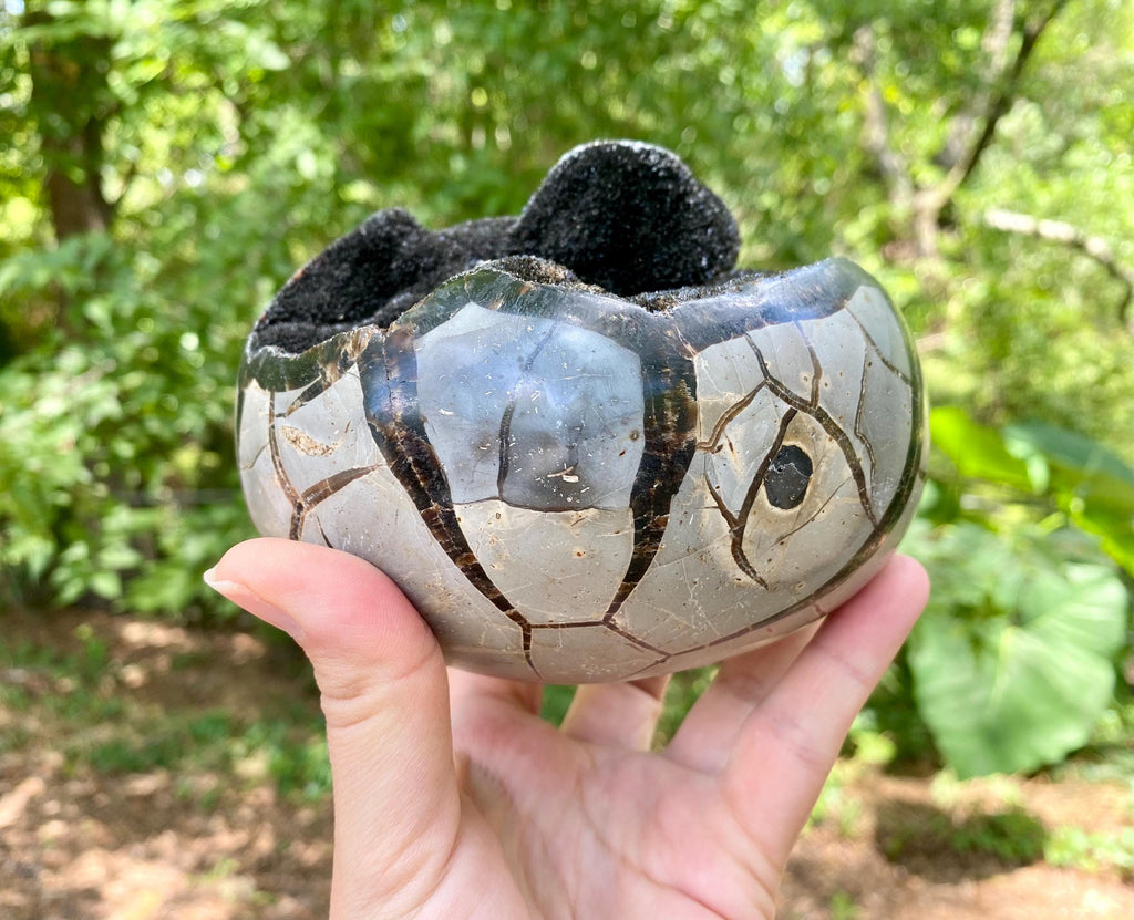 XL Septarian Heart Crystal: Madagascar Dragon Egg Stone, Druzy Cluster