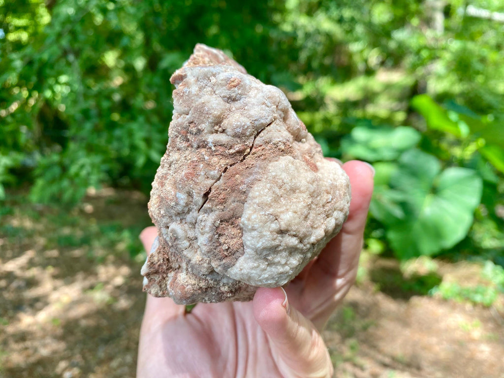 Raw Pink Amethyst Cluster: Extra Large Crystal Geode, 974 grams